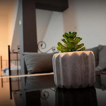 Iva Studio-apartment Apartment
